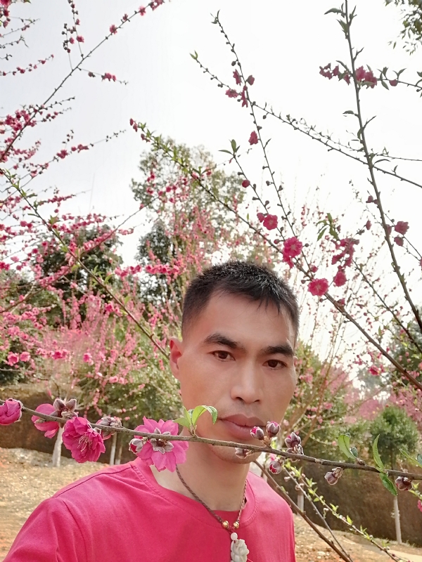 惜緣的第一张照片--江门相亲服务中心