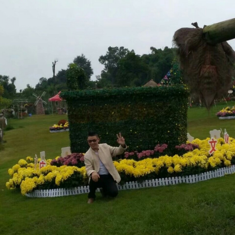 春风里^O^任徜徉的第一张照片--江门相亲服务中心