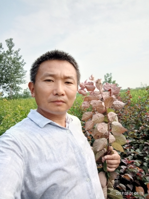 孩子爸的第二张照片--江门相亲服务中心
