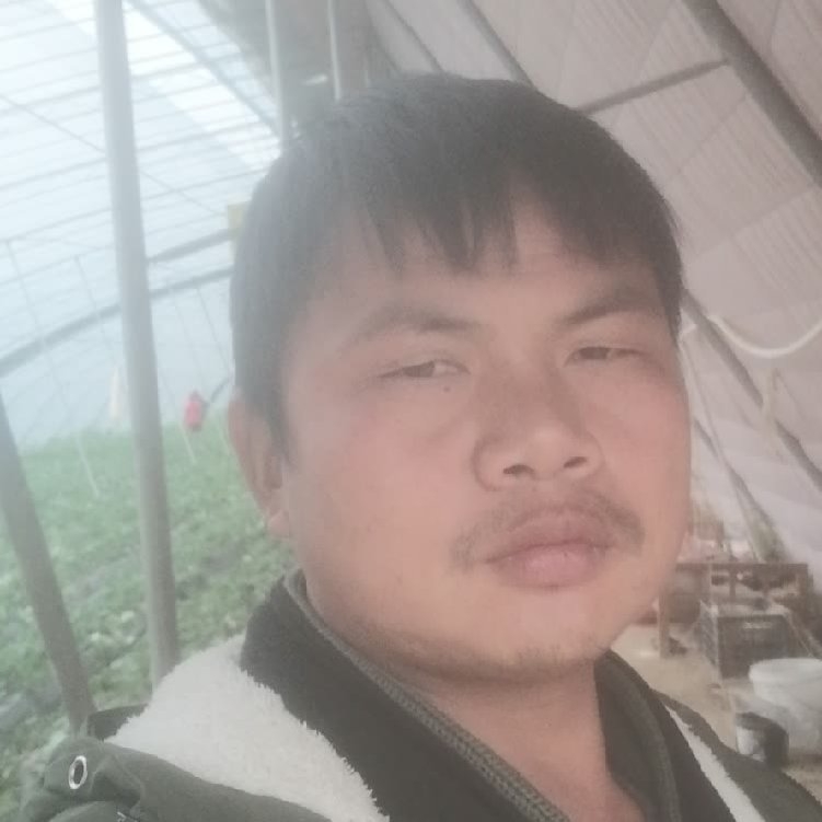 孤狼‘的第一张照片--江门相亲服务中心