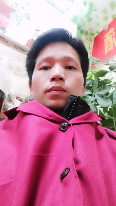 单身的林凡的第一张照片--江门相亲服务中心