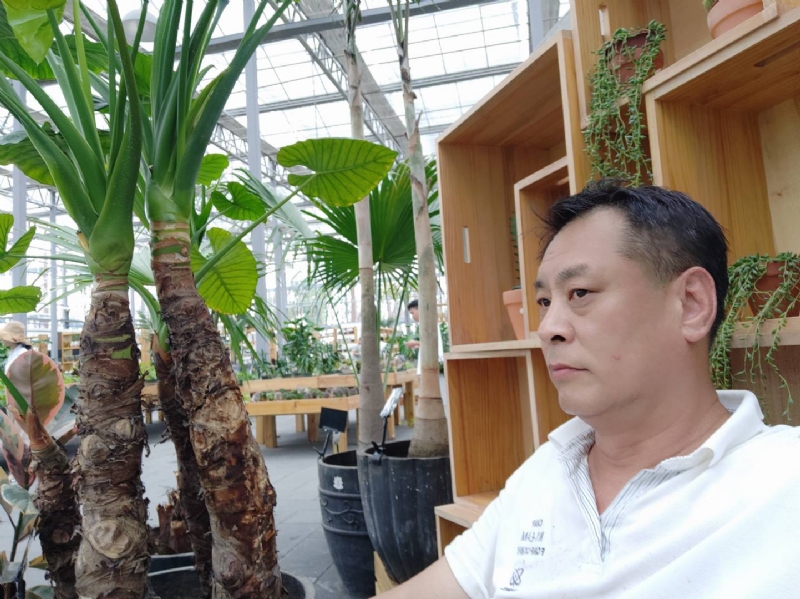 davidxy669988的第一张照片--江门相亲服务中心