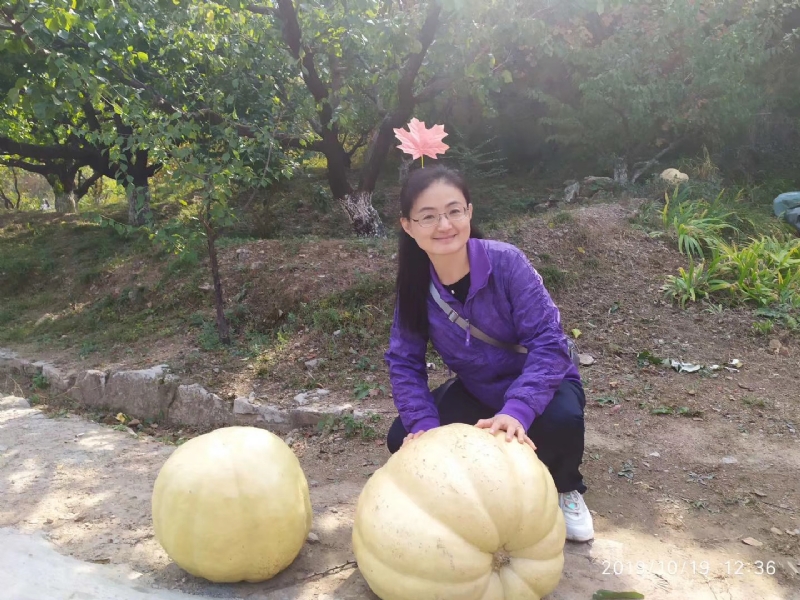 海绵宝宝的第一张照片--江门相亲服务中心