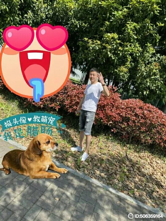 我若不坚强谁替我勇敢的第五张照片--江门相亲服务中心