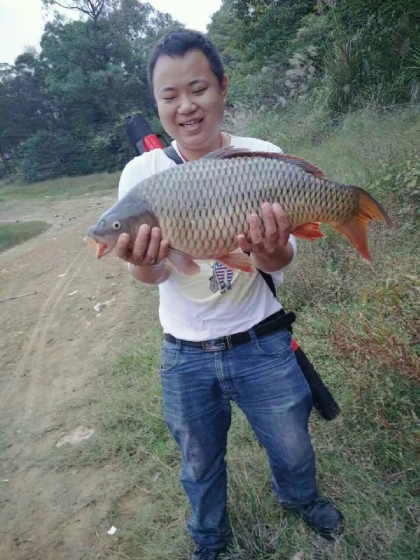迷路的男人的第一张照片--江门相亲服务中心