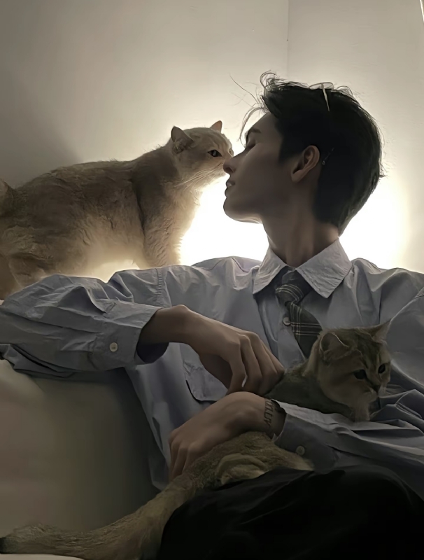 怪猫的第一张照片--江门相亲服务中心
