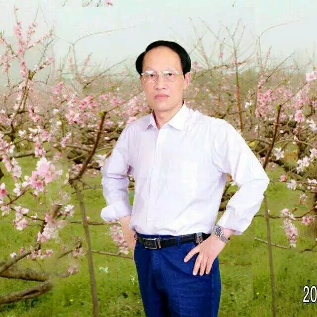 枫叶的第一张照片--江门相亲服务中心